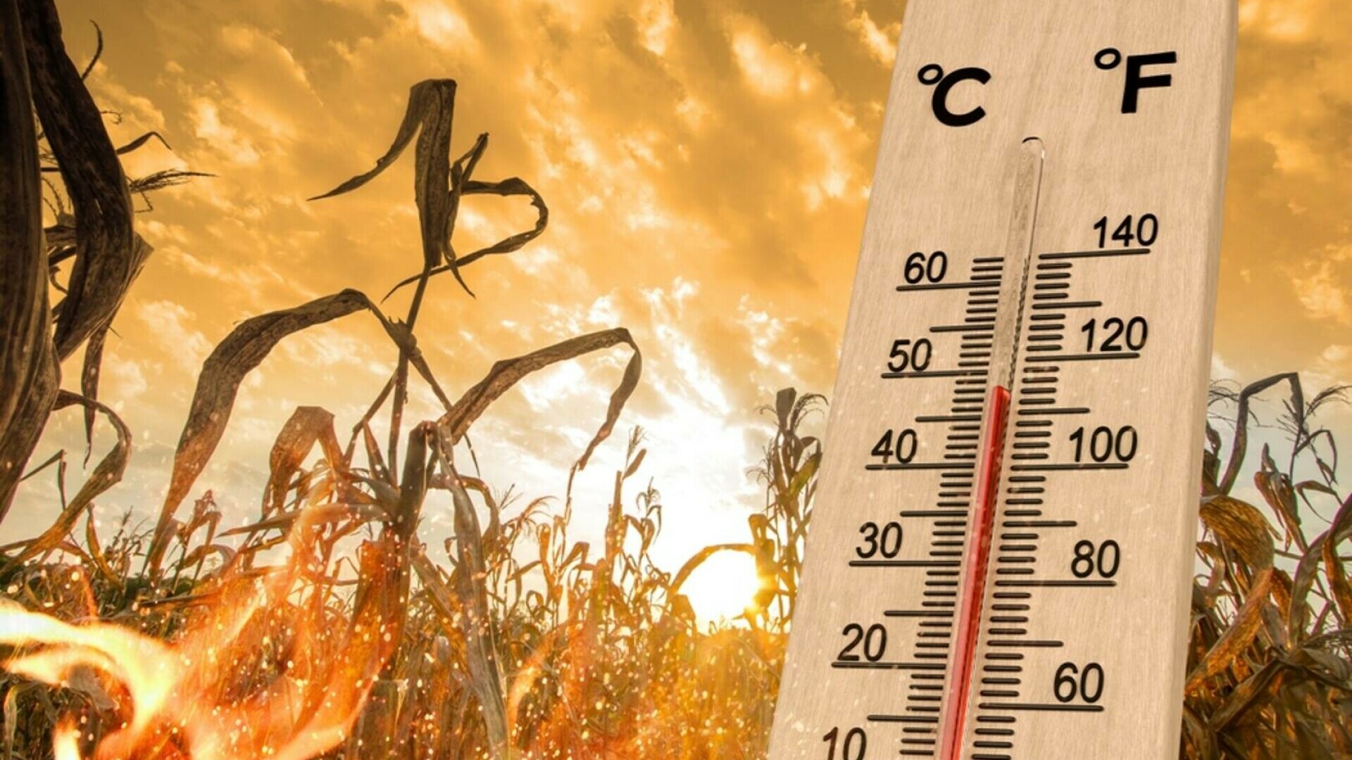 Prognoza meteo, 20 august. Vremea se încălzește în majoritatea regiunilor